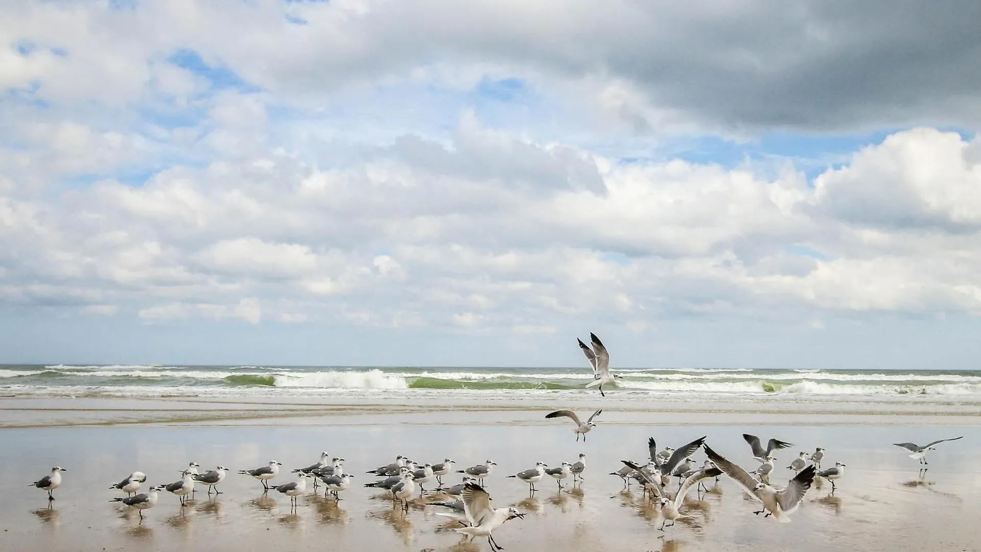 Otel Harbour Beach Resort Unit 518 Daytona Beach
